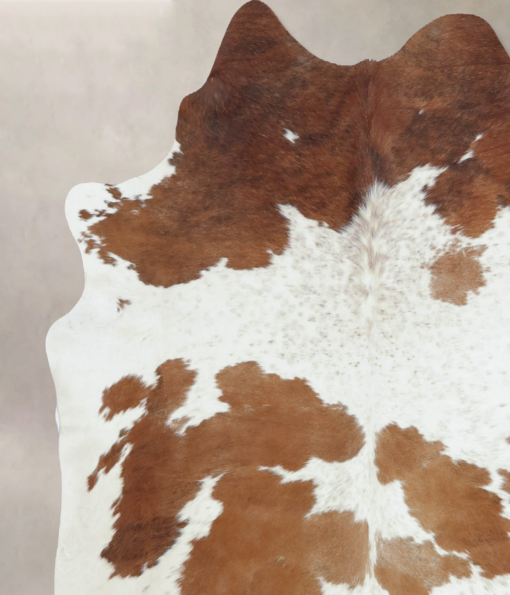 Brown and White X-Large Brazilian Cowhide Rug 6'9"H x 6'3"W #B9387 by Hudson Hides