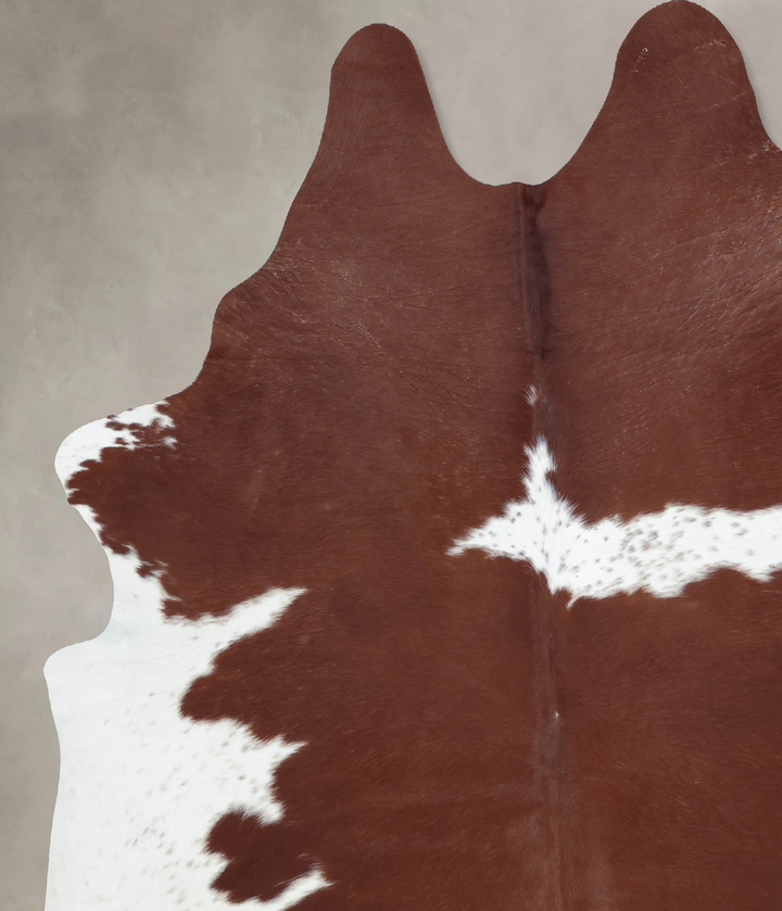 Brown and White XX-Large Brazilian Cowhide Rug 8'2"H x 6'5"W #B9462 by Hudson Hides