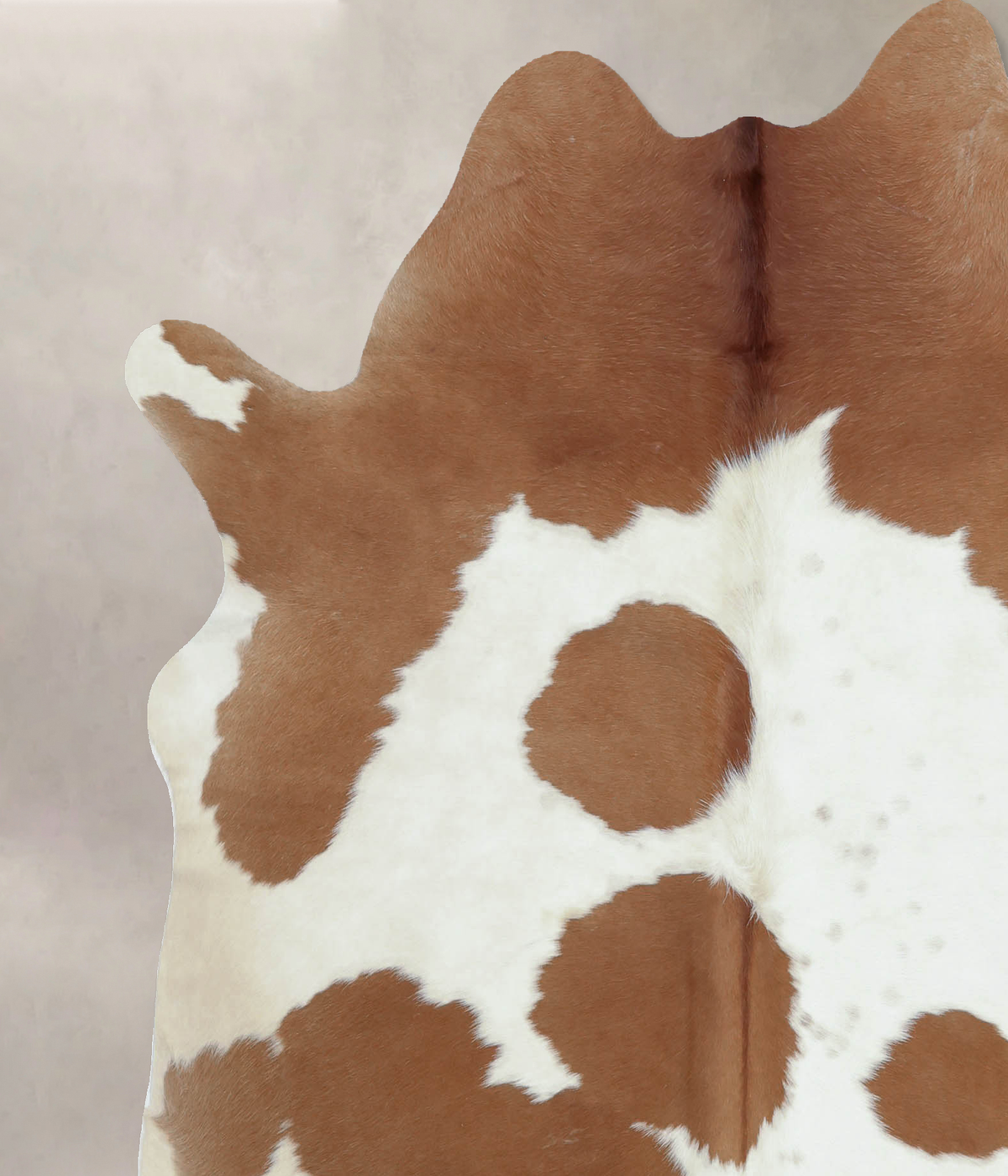 Brown and White X-Large Brazilian Cowhide Rug 7'0"H x 6'2"W #B9519 by Hudson Hides