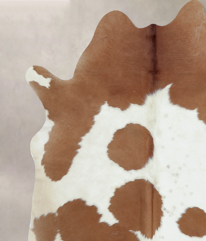 Brown and White X-Large Brazilian Cowhide Rug 7'0"H x 6'2"W #B9519 by Hudson Hides