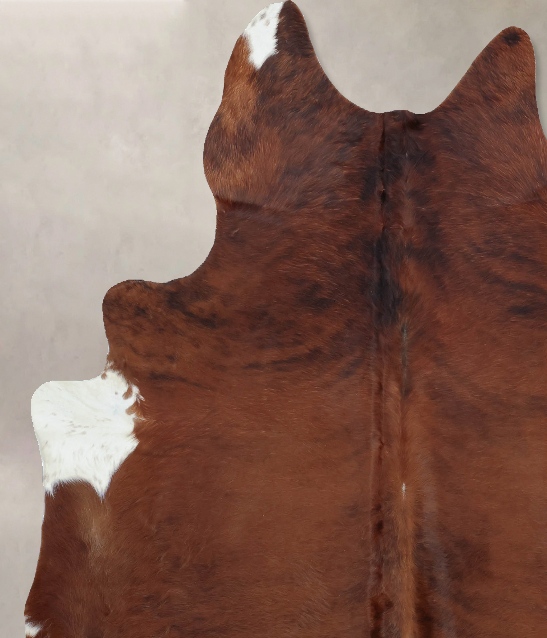 Medium Brindle Cowhide Rug #B9634