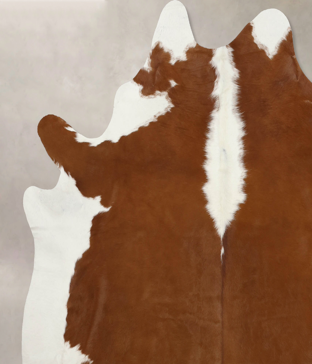 Hereford X-Large Brazilian Cowhide Rug 7'2"H x 6'5"W #B9875 by Hudson 