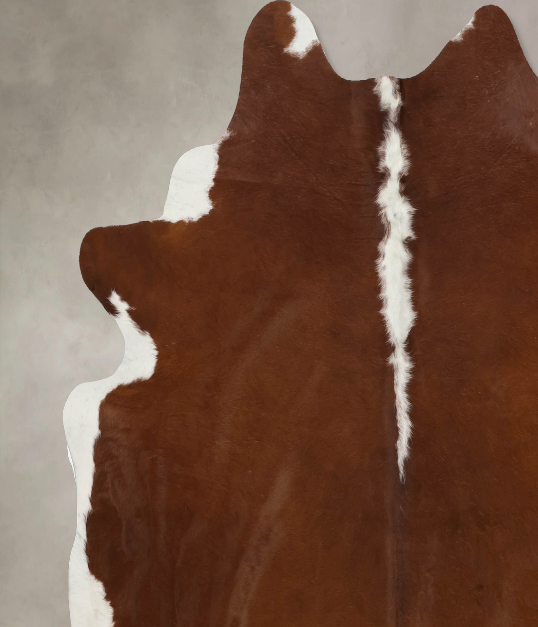 Hereford X-Large Brazilian Cowhide Rug 7'3"H x 6'7"W #B9876 by Hudson 