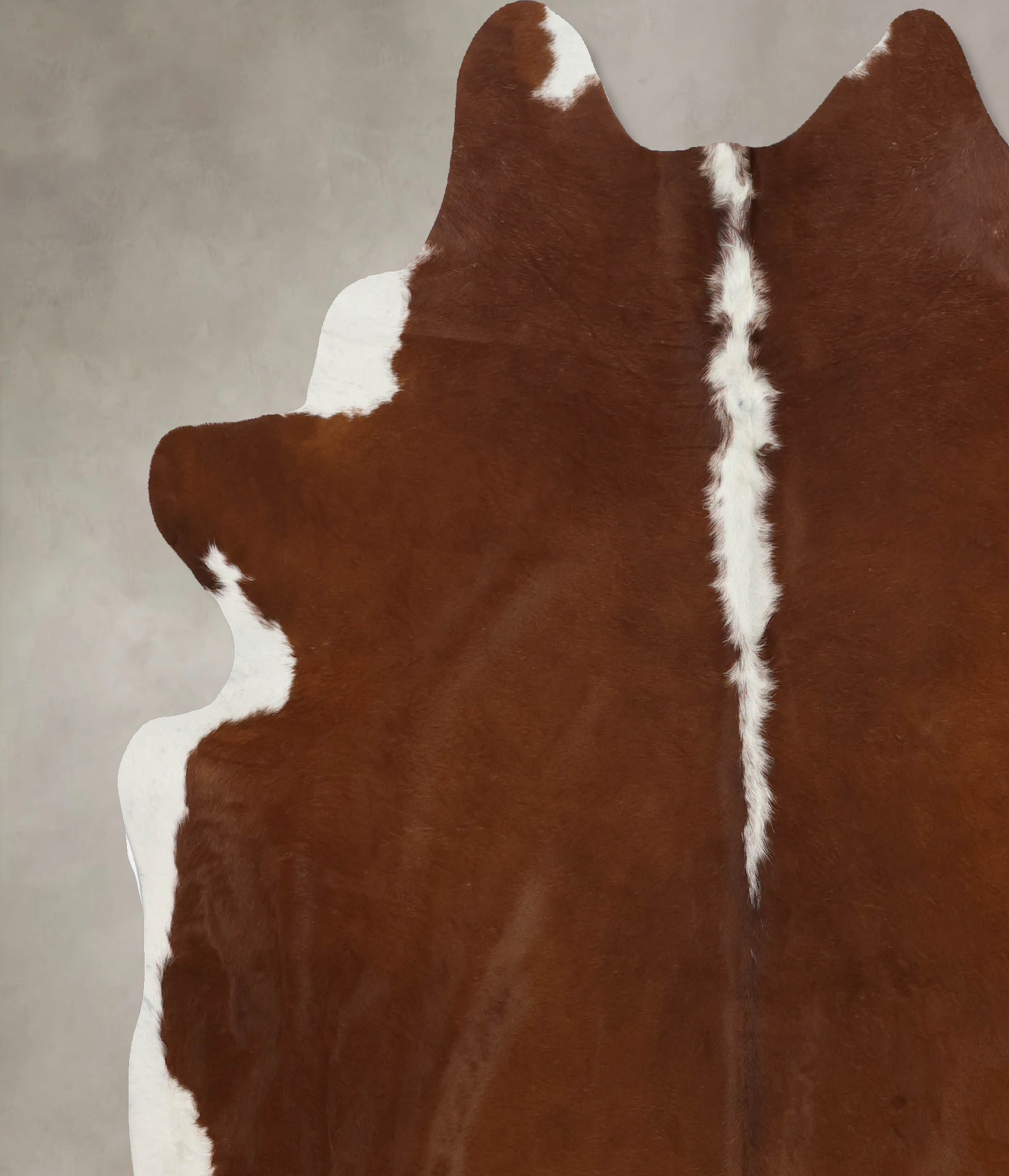 Hereford Cowhide Rug #B9876