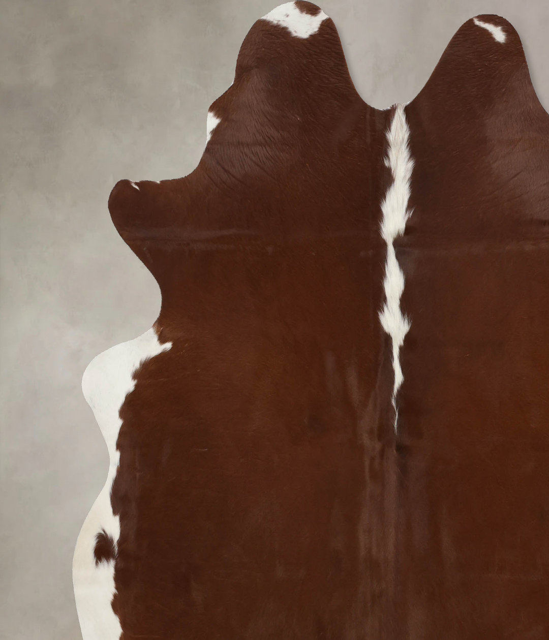 Hereford X-Large Brazilian Cowhide Rug 7'2"H x 6'8"W #B9878 by Hudson 