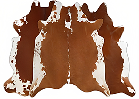  Brown & White Regular Cowhide Rugs