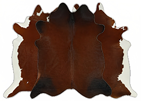  Brown w/ Red Cowhide Rugs