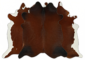 BROWN WITH RED COWHIDE RUGS