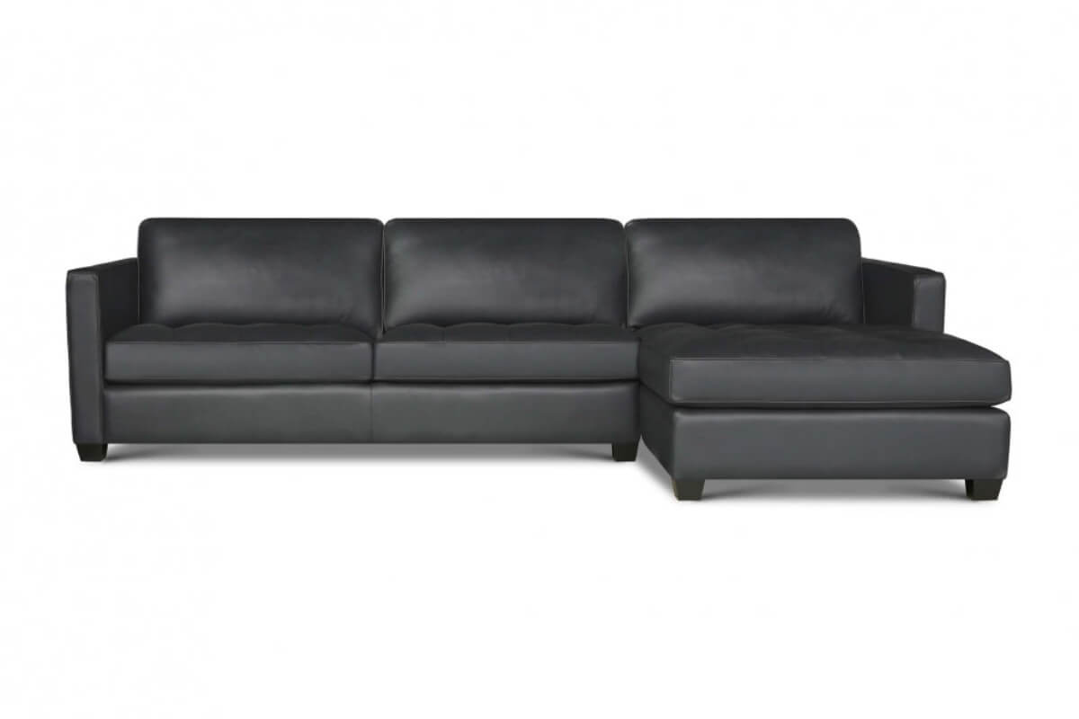 Eleanor Rigby Arizona Sectional (Sofa + Chaise)