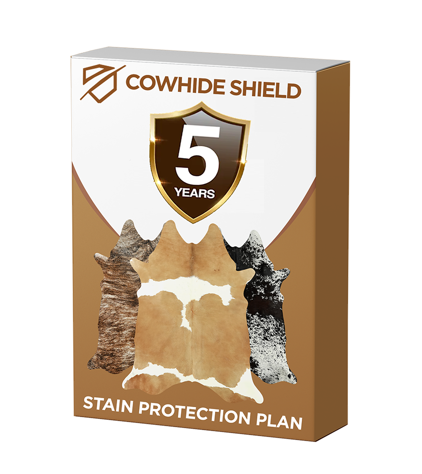 5 Year Stain Protection Plan