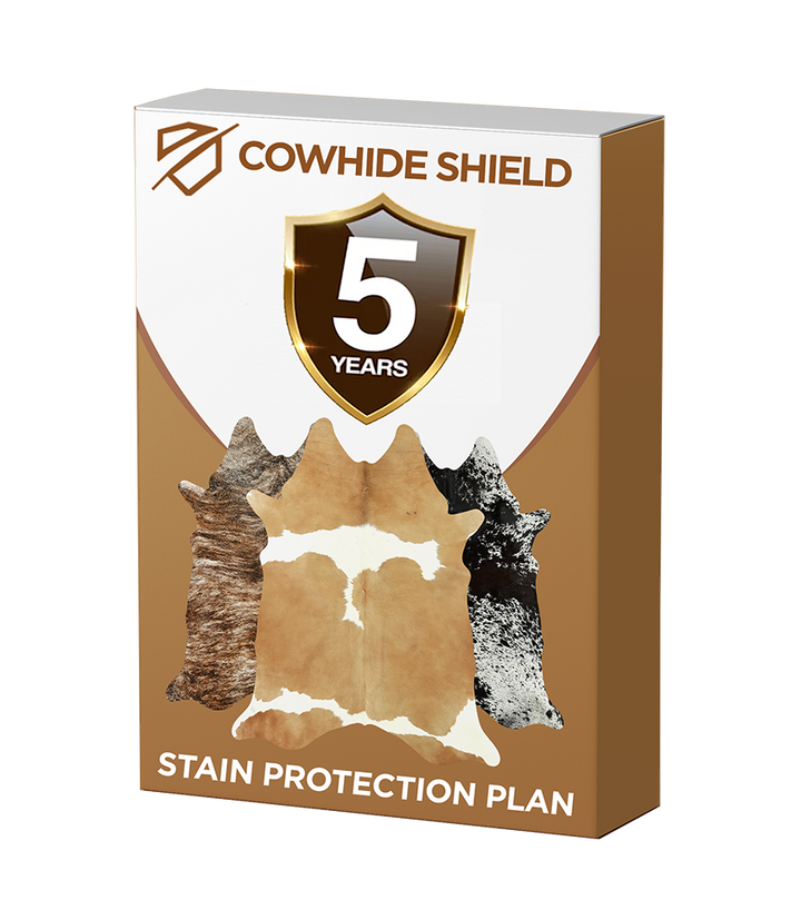 5 Year Stain Protection Plan