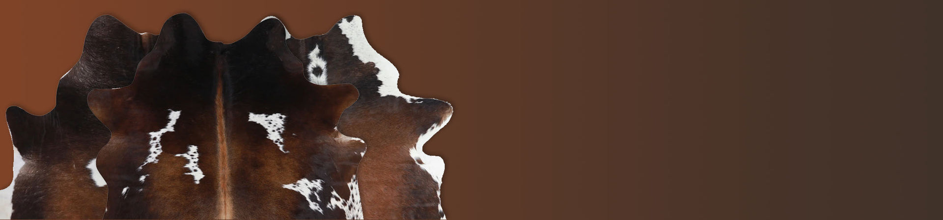 Chocolate and White Cowhide Rugs