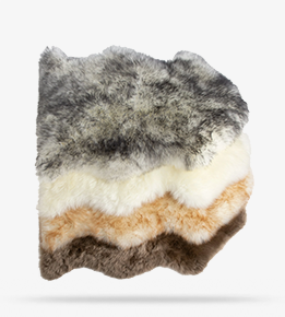 Sheepskin Rugs