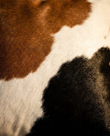 Tricolor Cowhide Rug