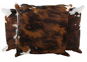  Tricolor Cowhide Pillows