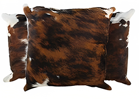 Tricolor Pillows