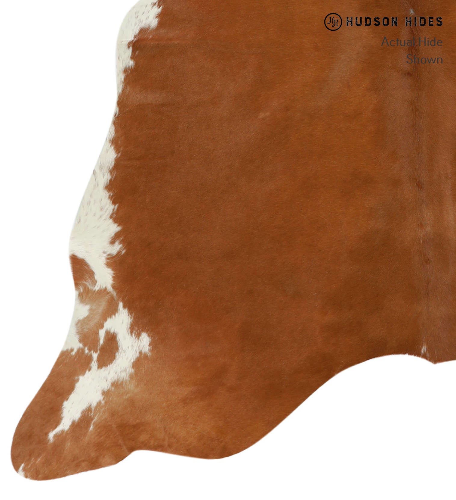 Brown and White Regular Cowhide Rug #14465