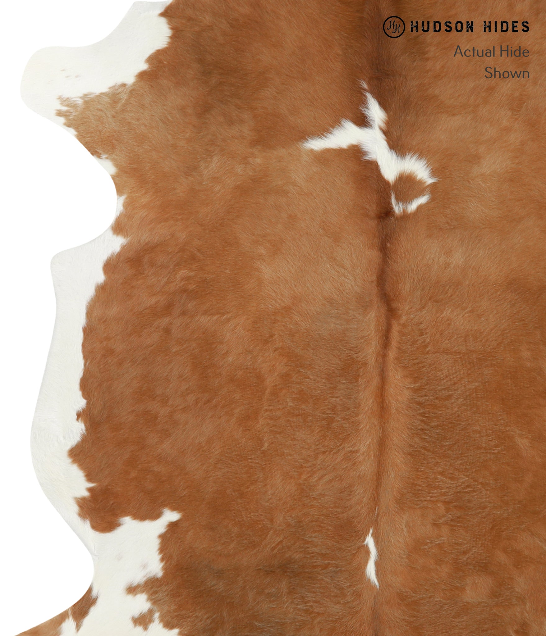 Brown and White Cowhide Rug #20611