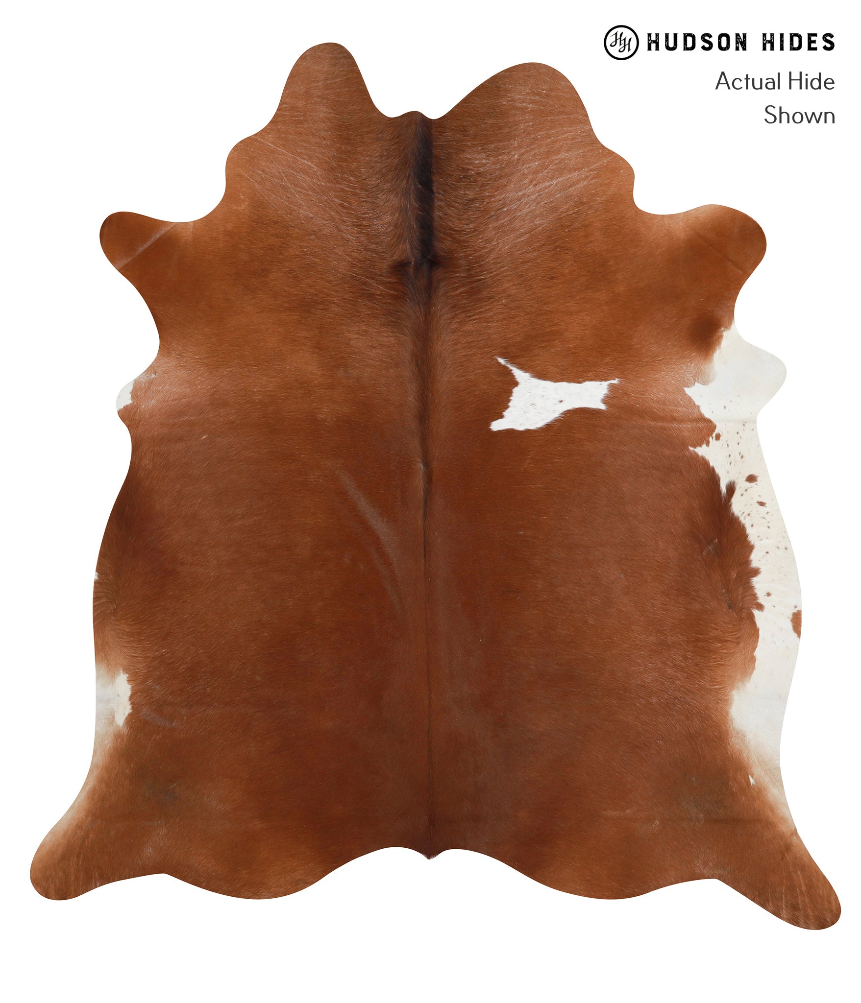Brown and White Regular Cowhide Rug #27018