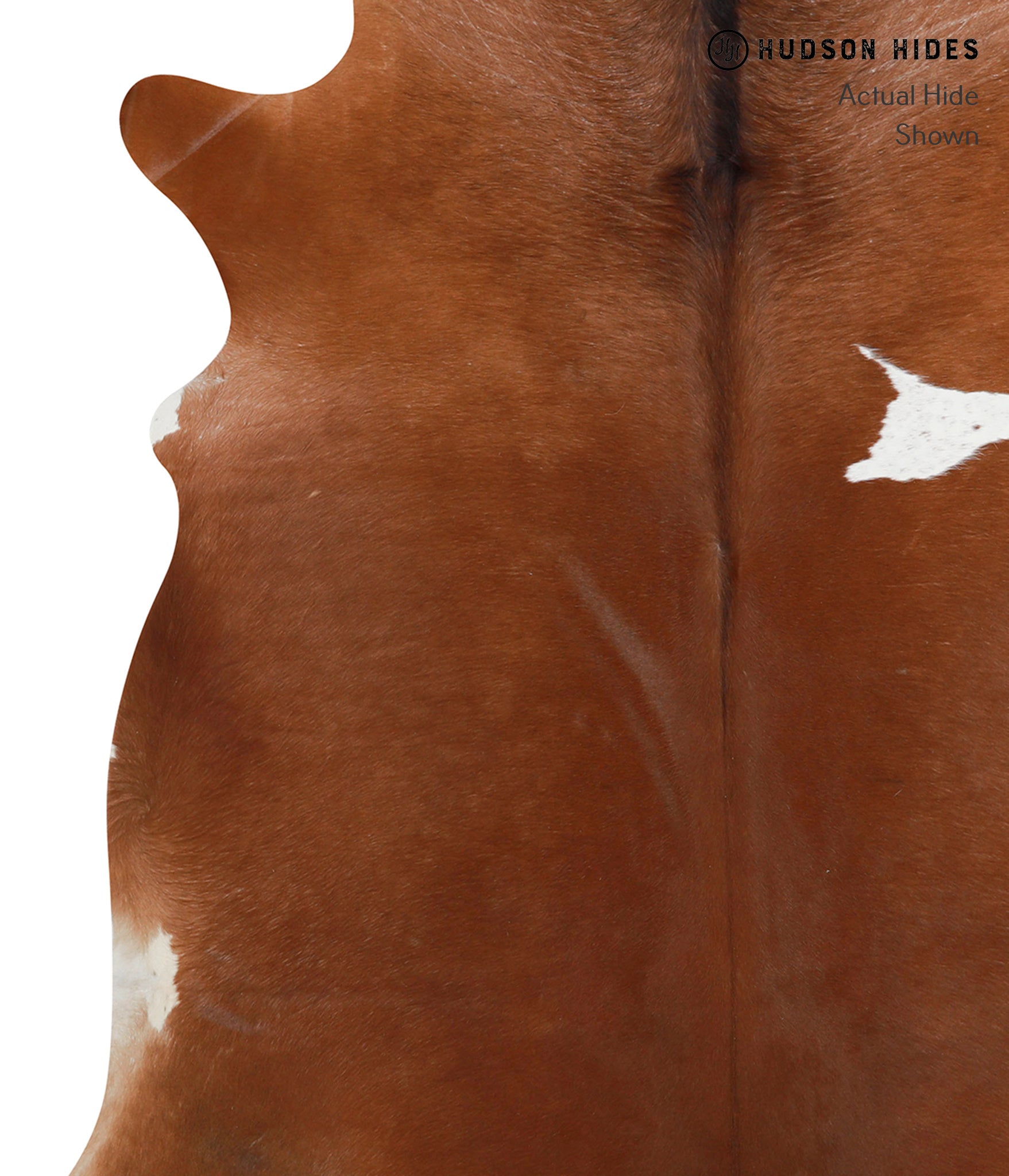 Brown and White Regular Cowhide Rug #27018