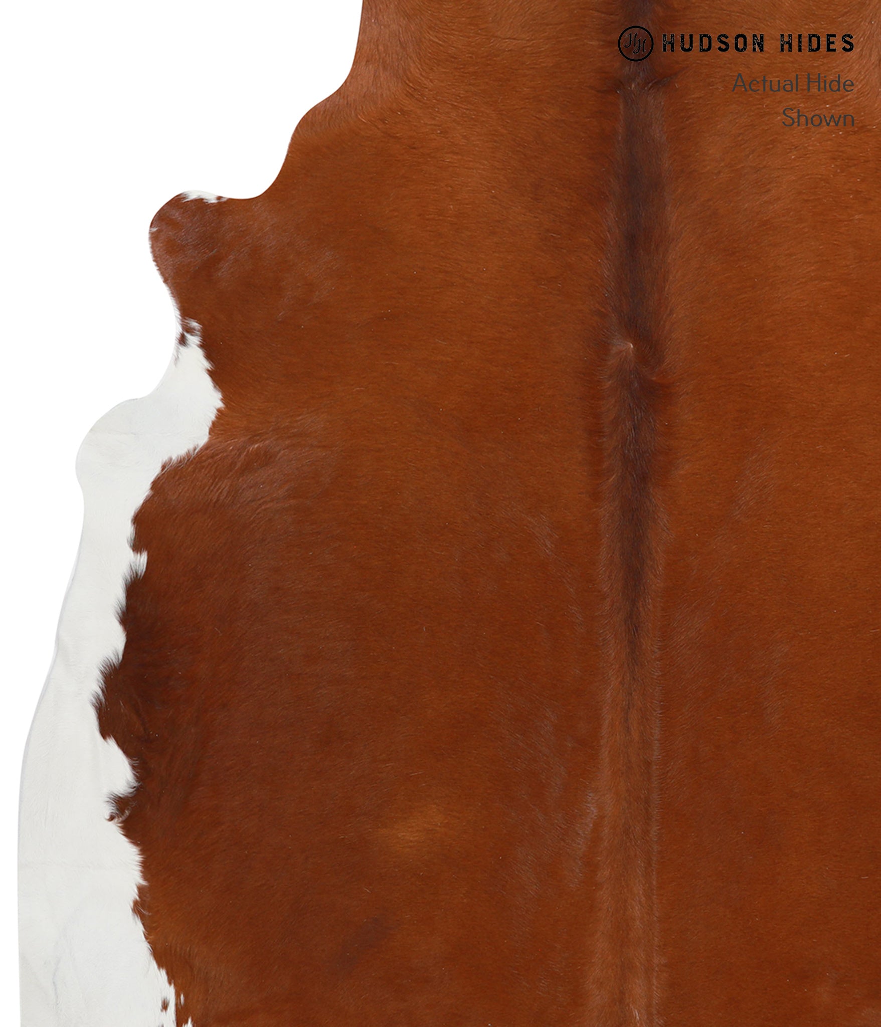 Brown and White Regular Cowhide Rug #28383