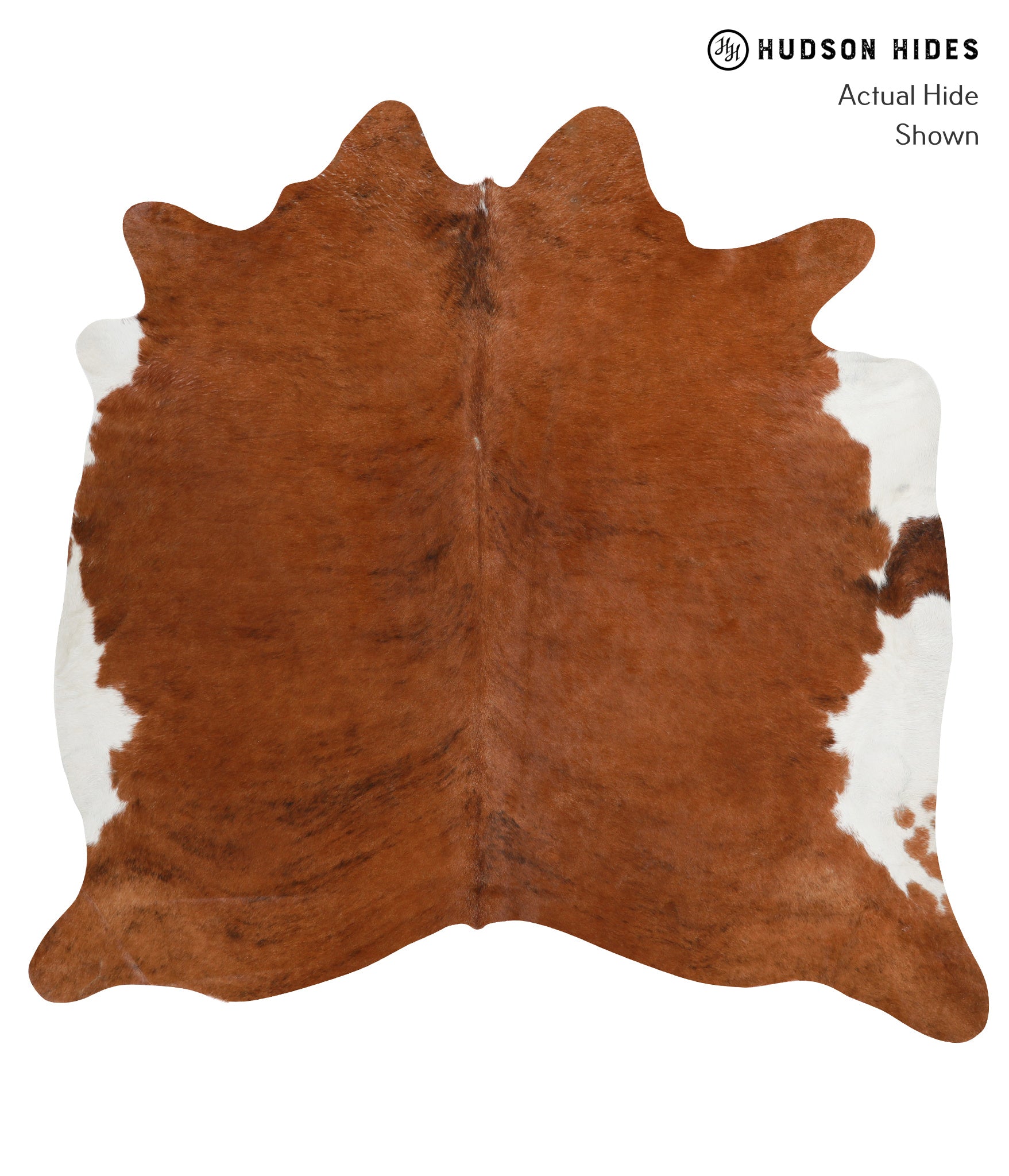 Brown and White Regular Cowhide Rug #28753