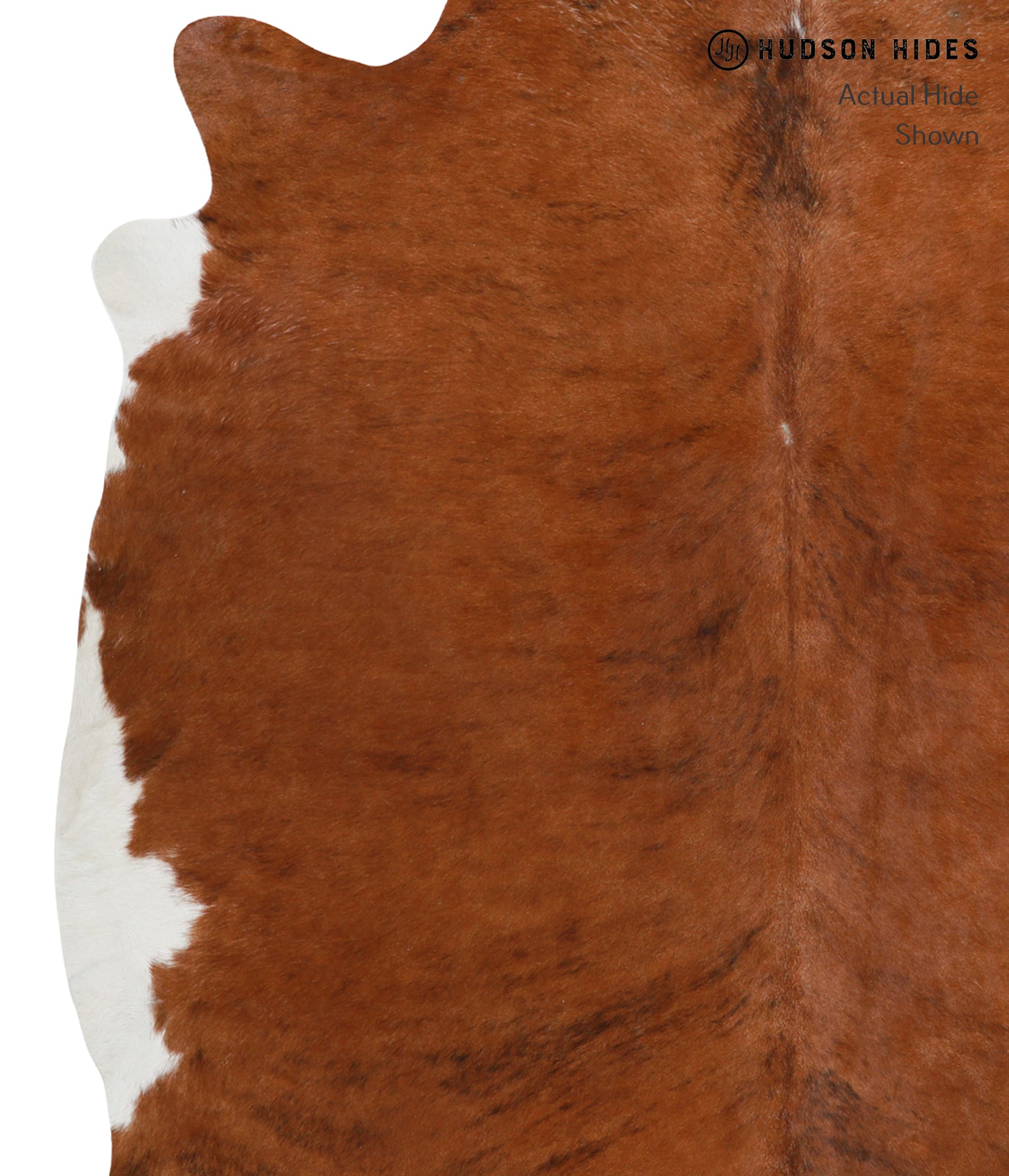 Brown and White Regular Cowhide Rug #28753
