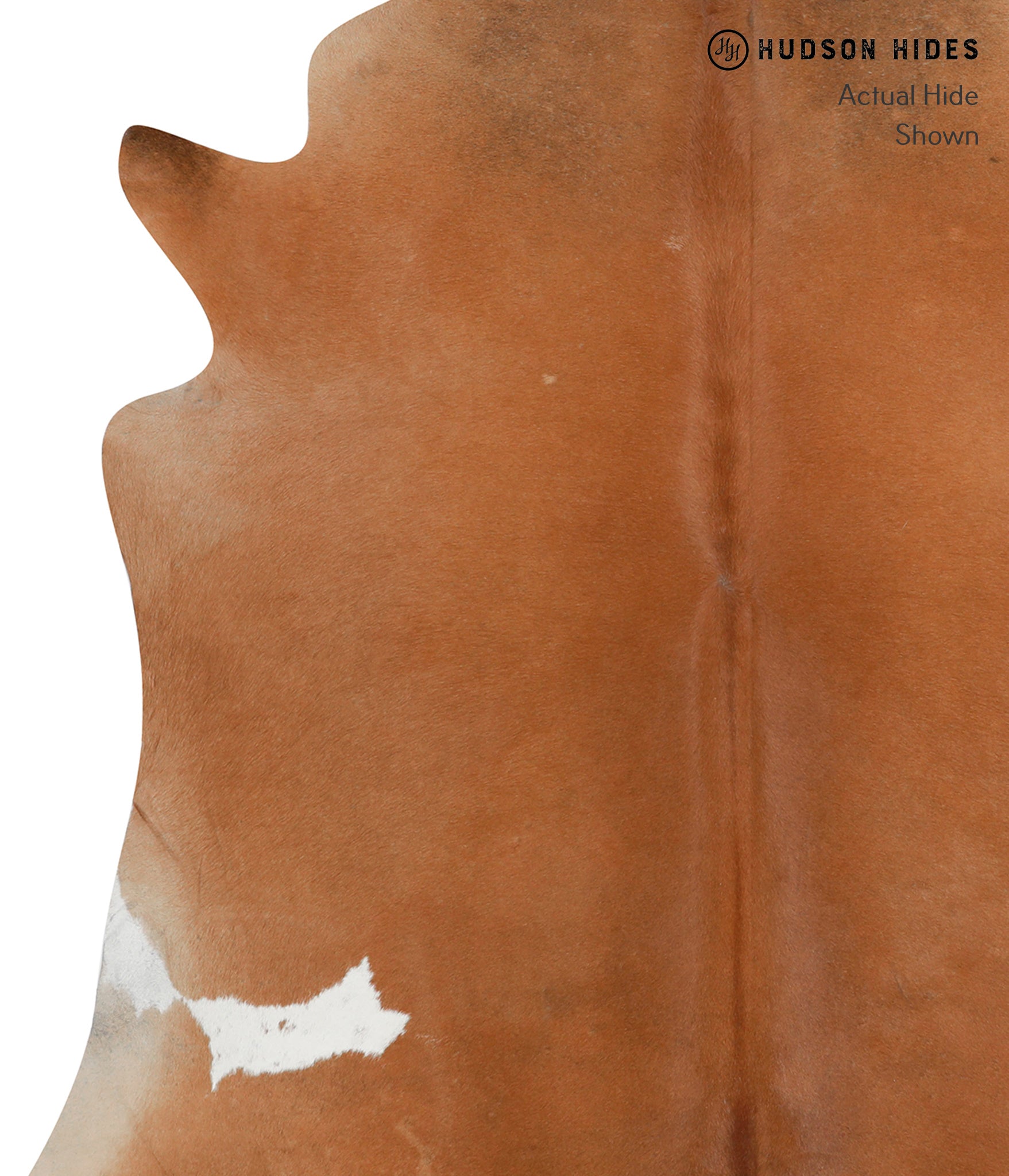 Brown and White Regular Cowhide Rug #28891