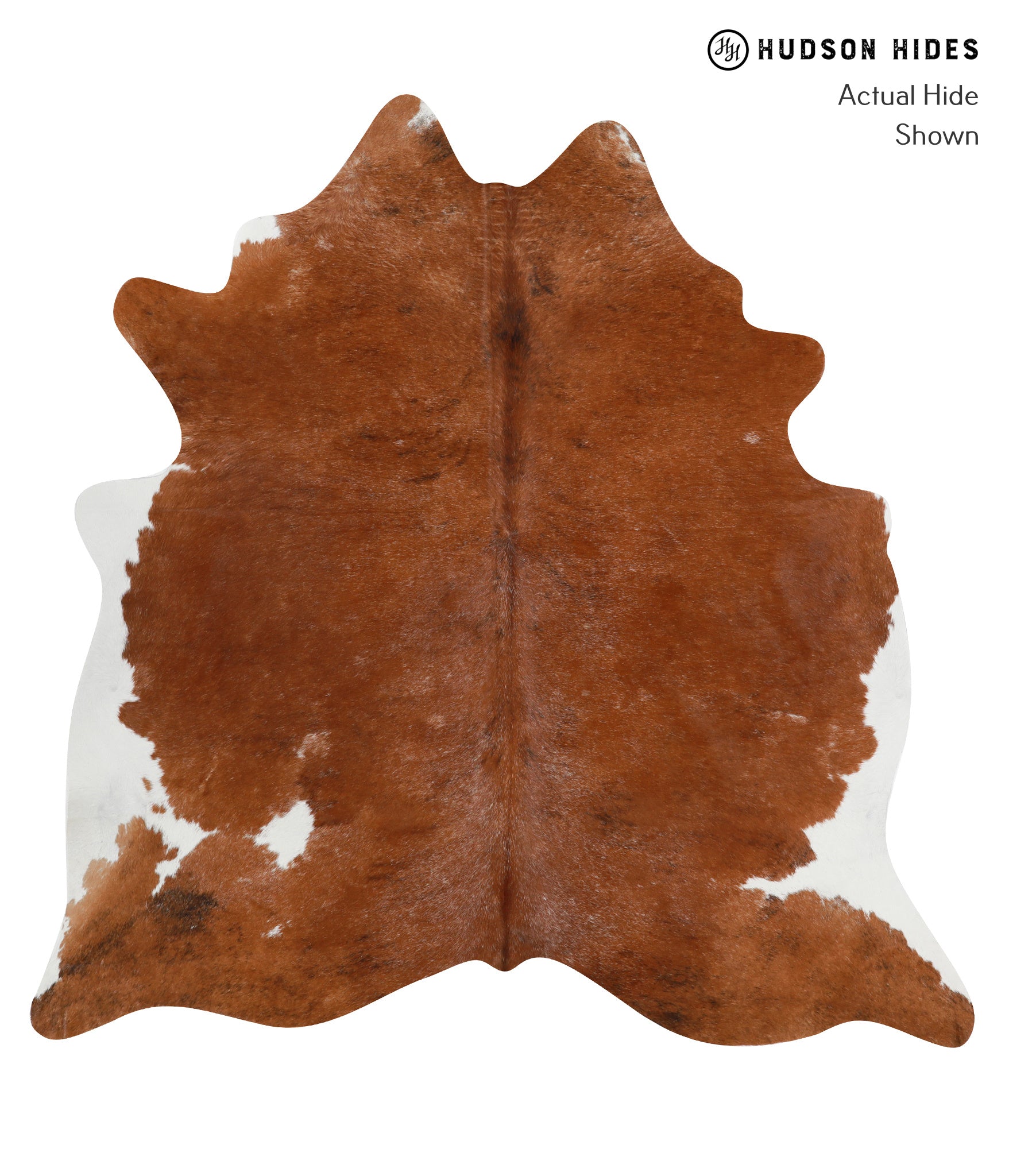 Brown and White Regular Cowhide Rug #28901