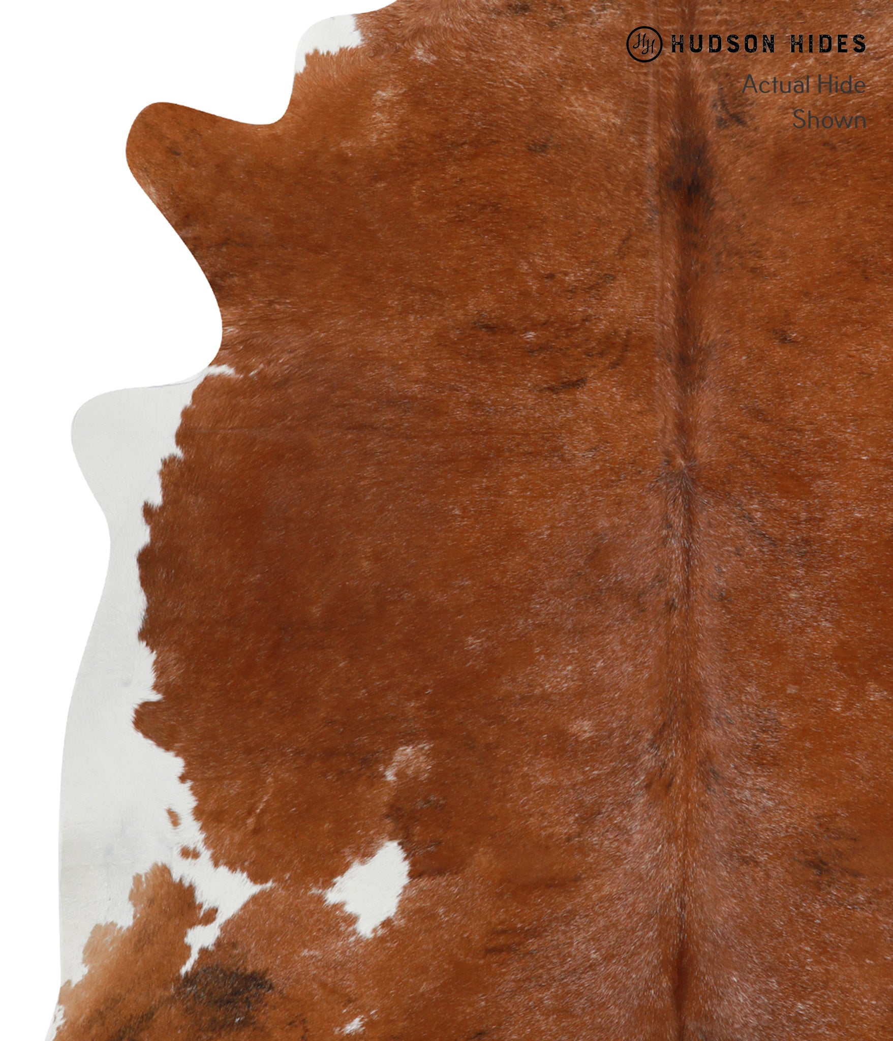 Brown and White Regular Cowhide Rug #28901