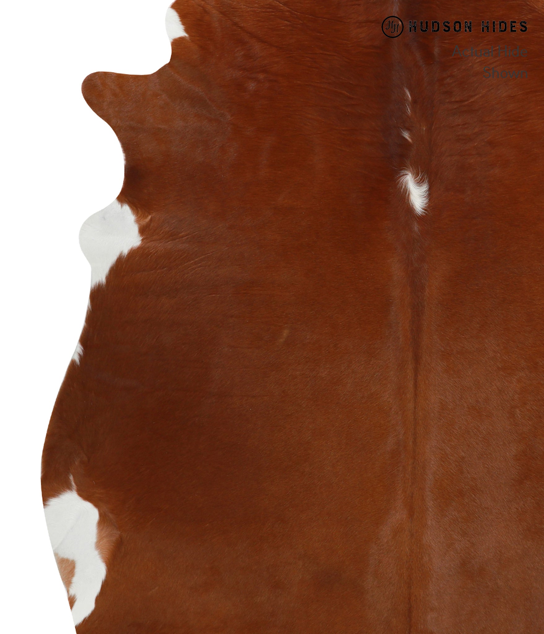 Brown and White Regular Cowhide Rug #29568