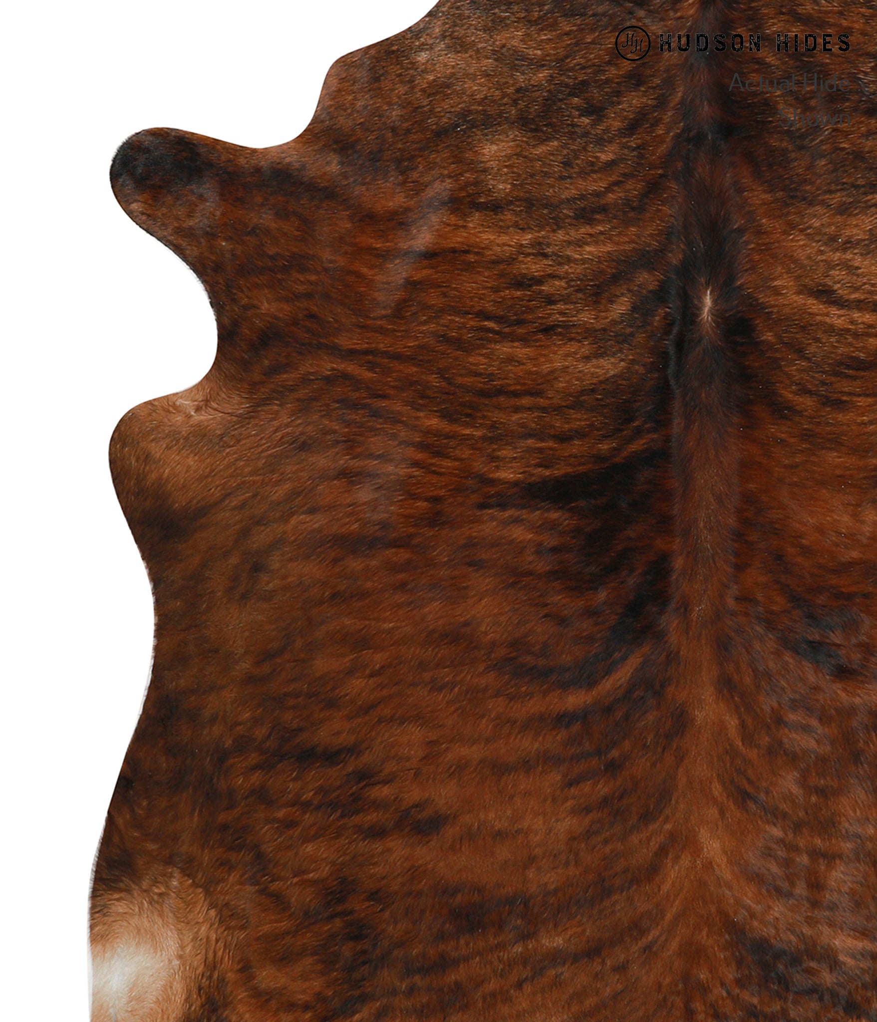 Medium Brindle Cowhide Rug #29649