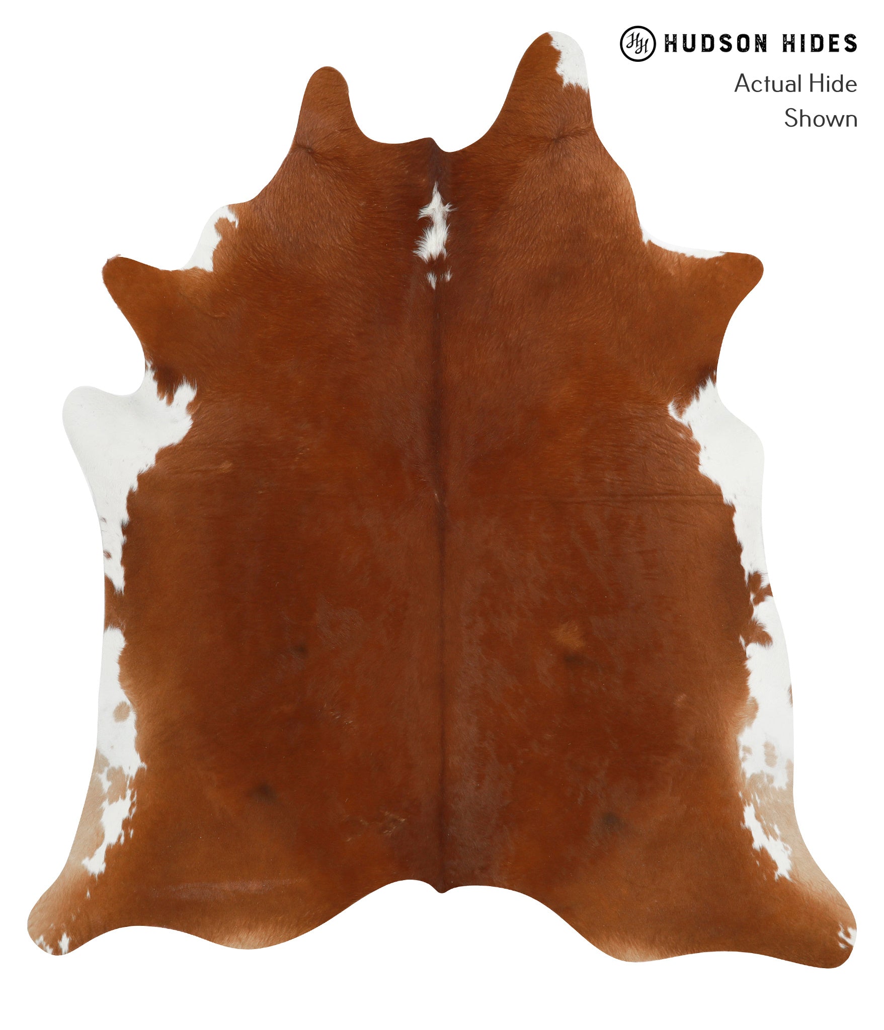 Brown and White Regular Cowhide Rug #29825