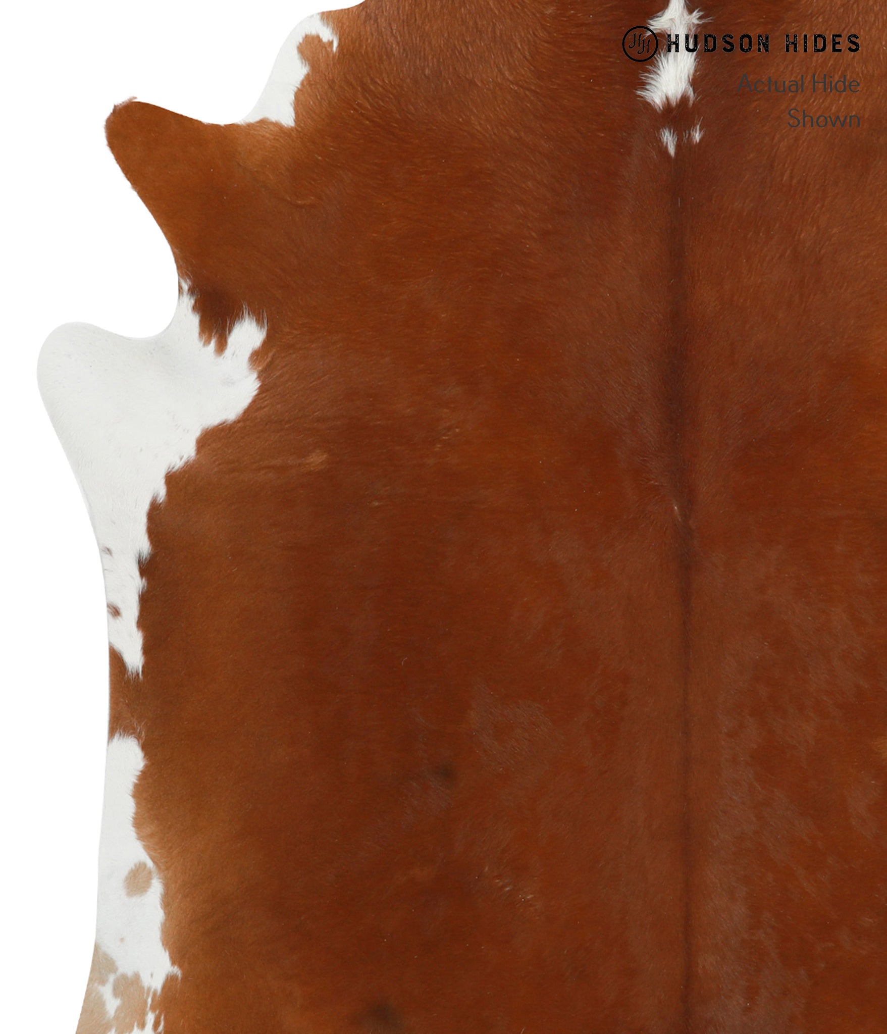 Brown and White Regular Cowhide Rug #29825