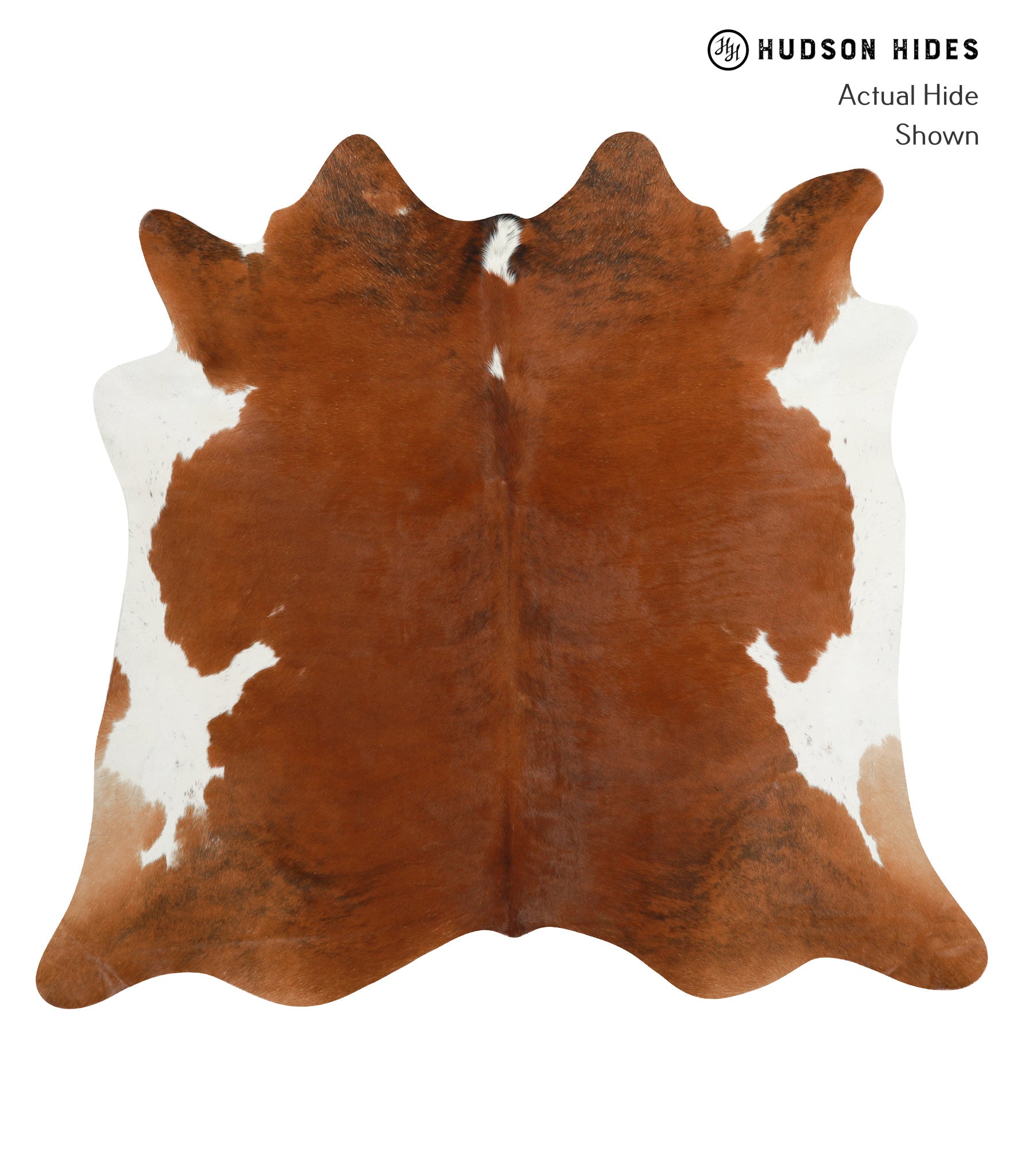 Brown and White Cowhide Rug #29877