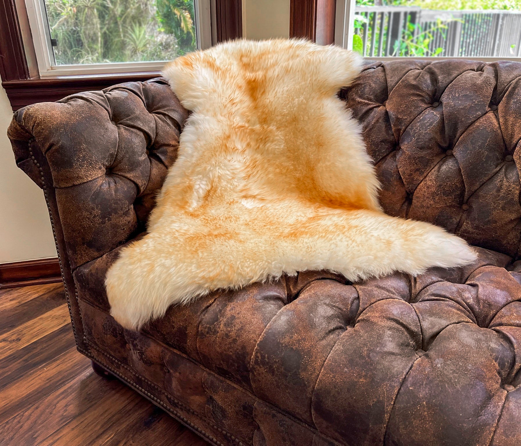 Brown Tip New Zealand Sheepskin 2' x 3' by Hudson Hides