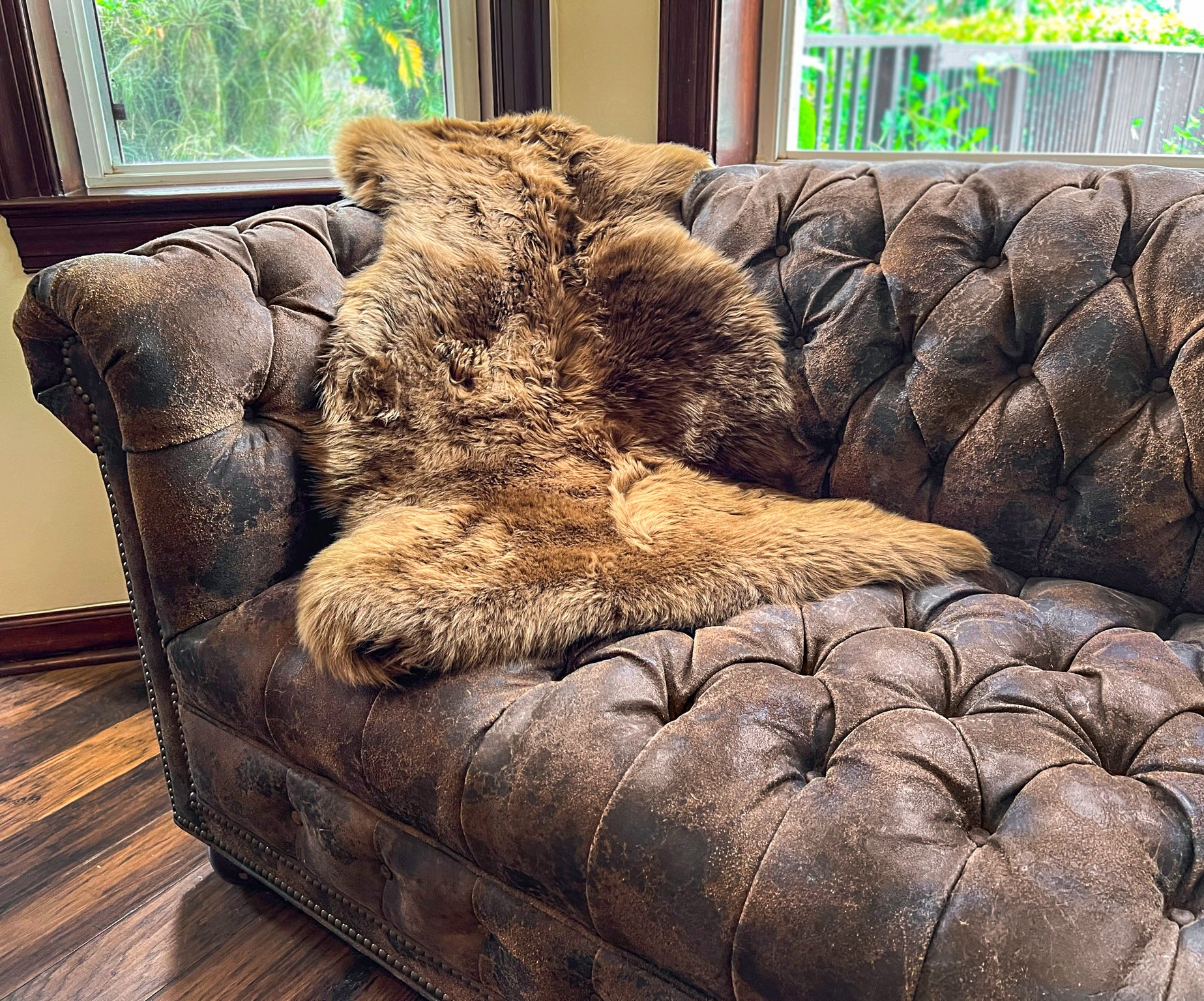 Dark Brown New Zealand Sheepskin 2' x 3' by Hudson Hides