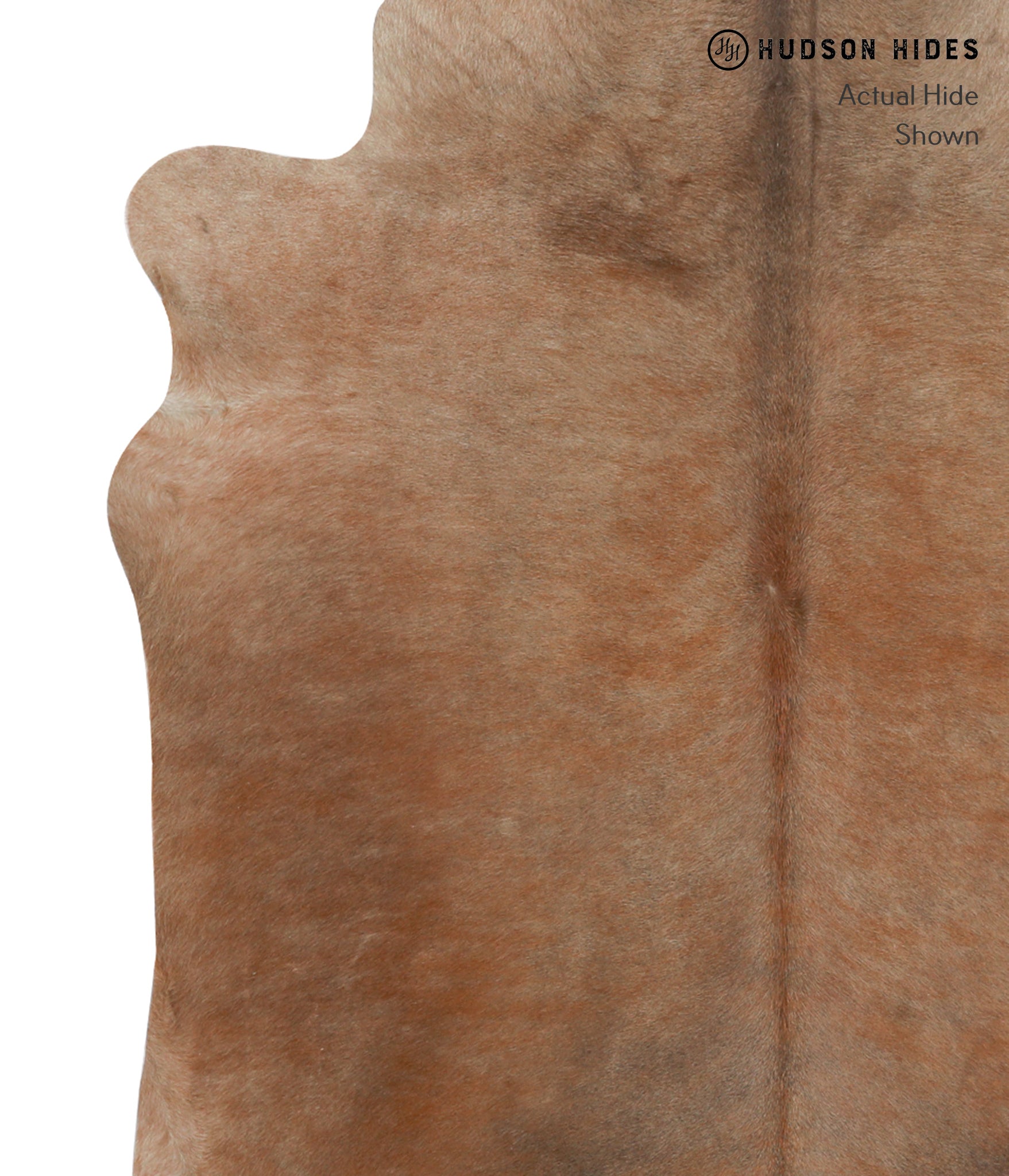 Caramel Cowhide Rug #30002