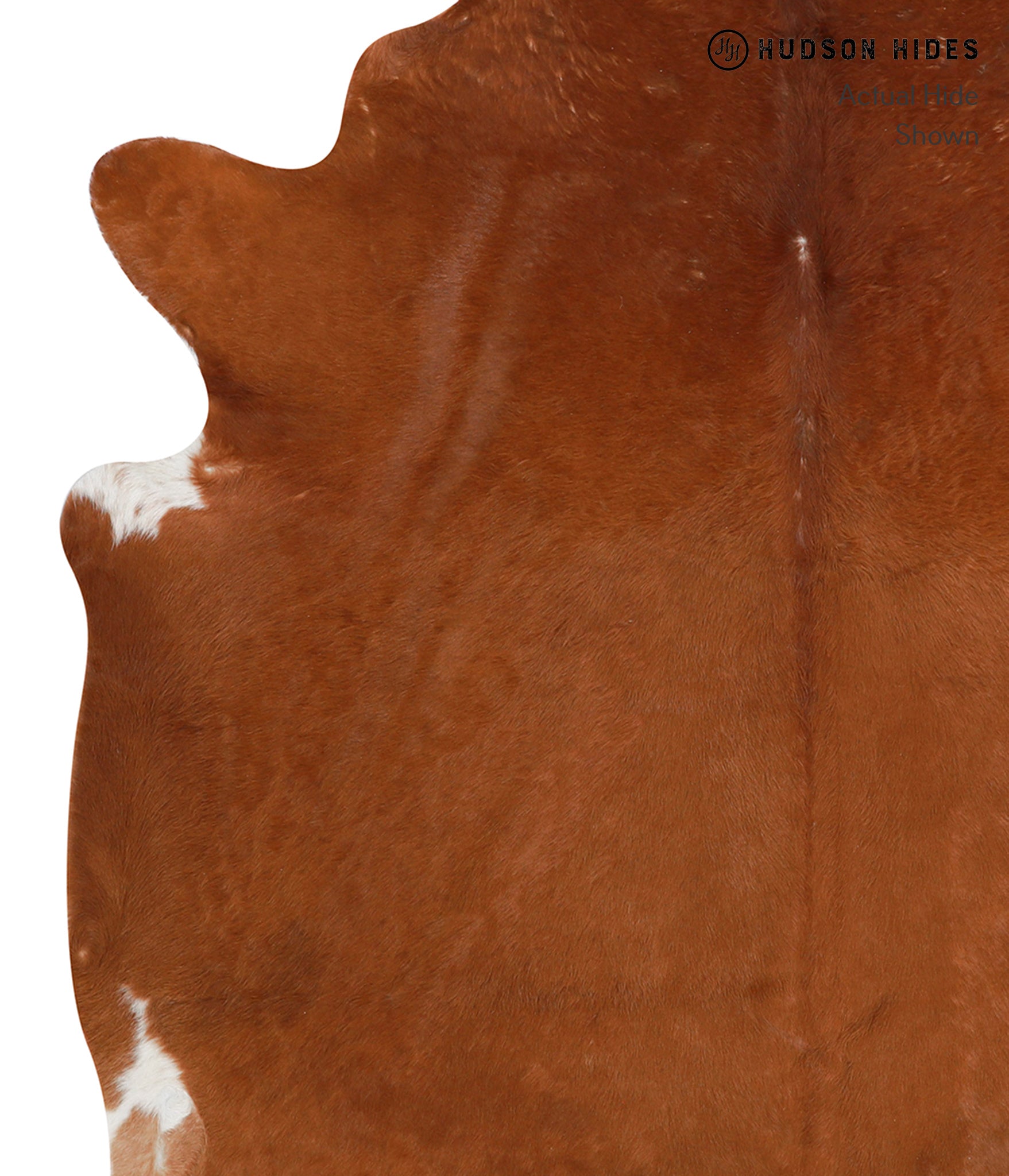 Solid Brown Cowhide Rug #30338