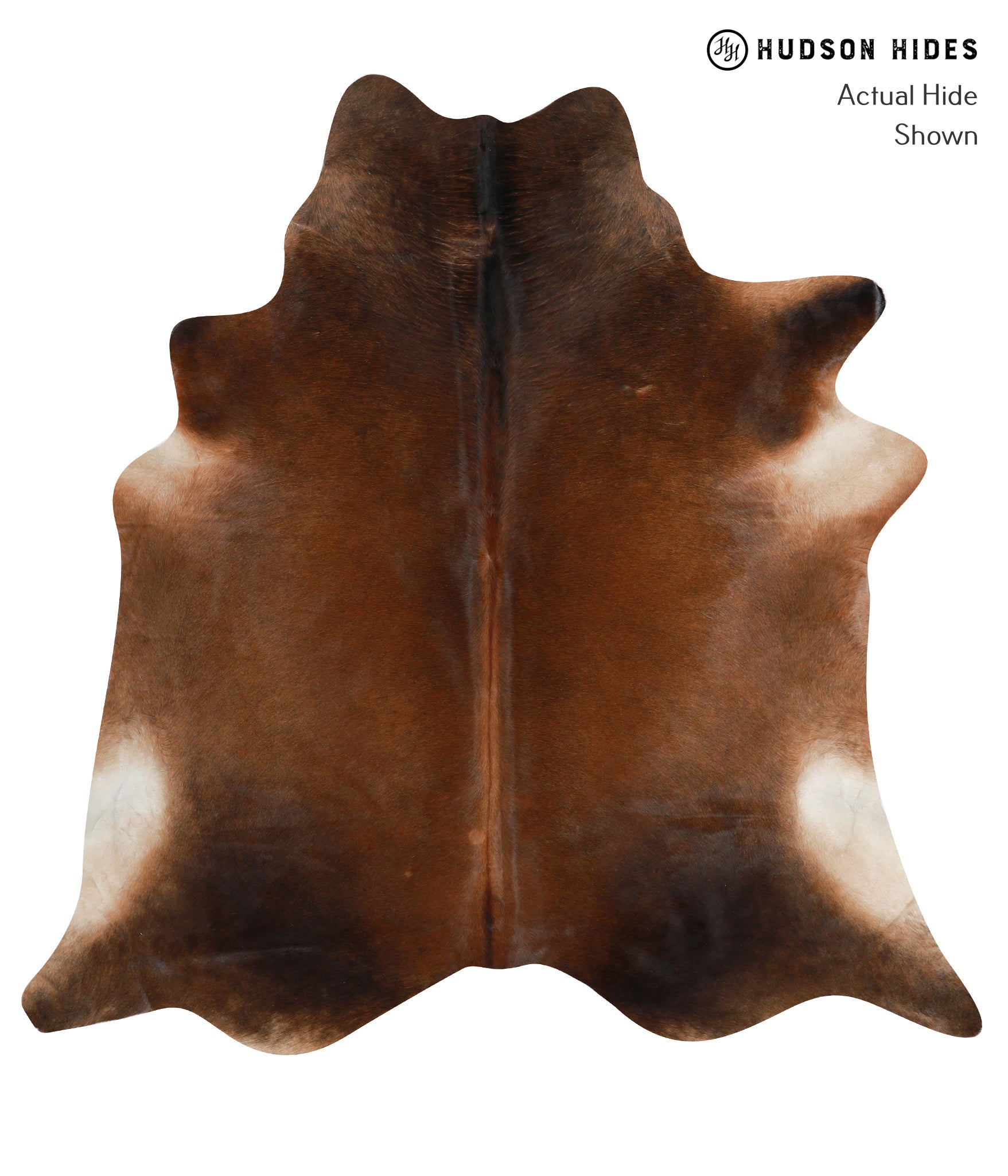Chocolate Cowhide Rug #30420