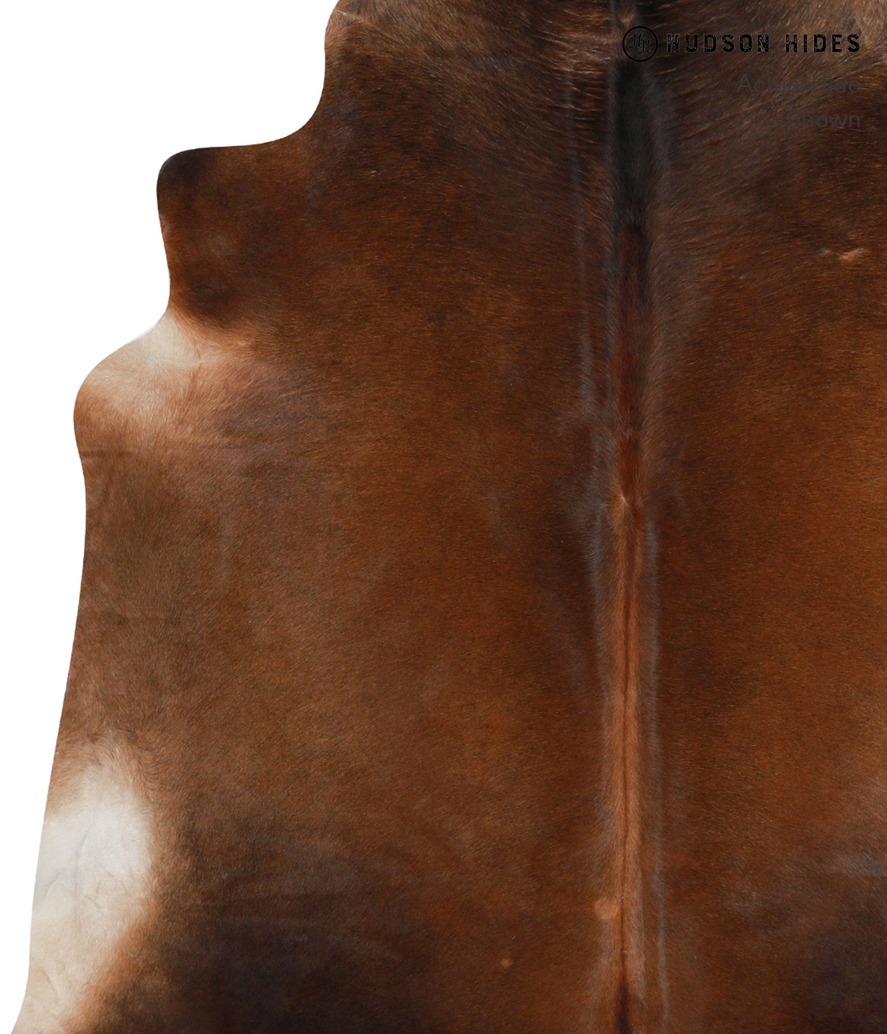 Chocolate Cowhide Rug #30420