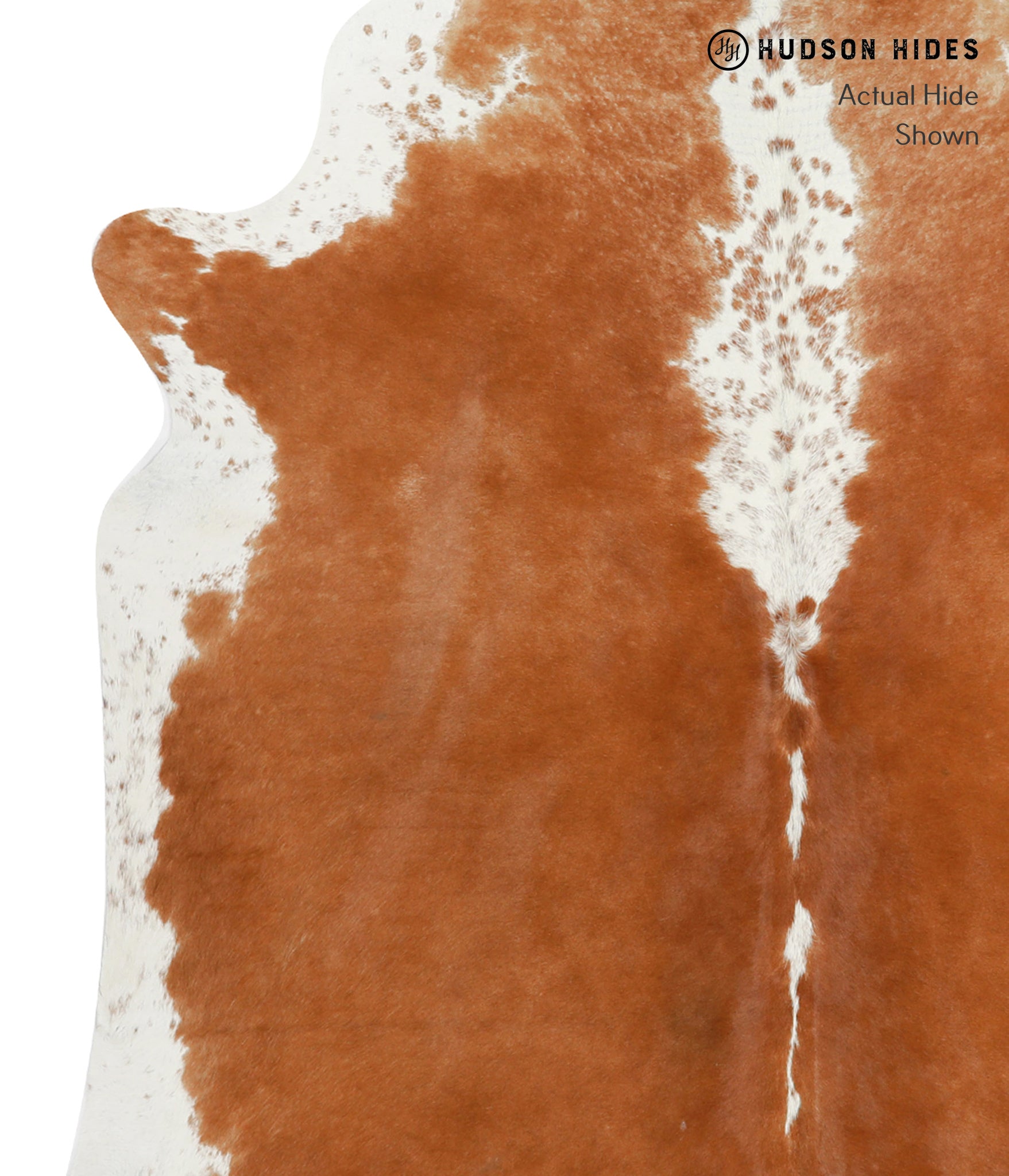 Brown and White Cowhide Rug #30619