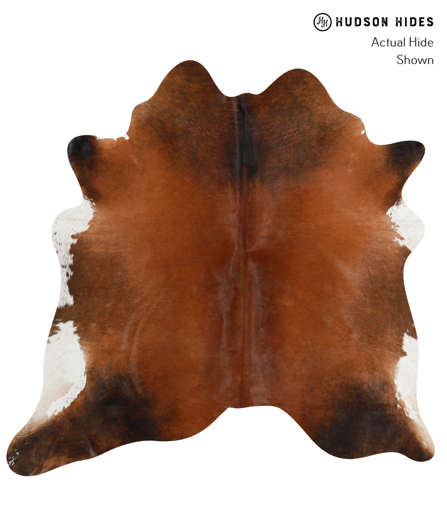 Brown with Red Cowhide Rug #30621