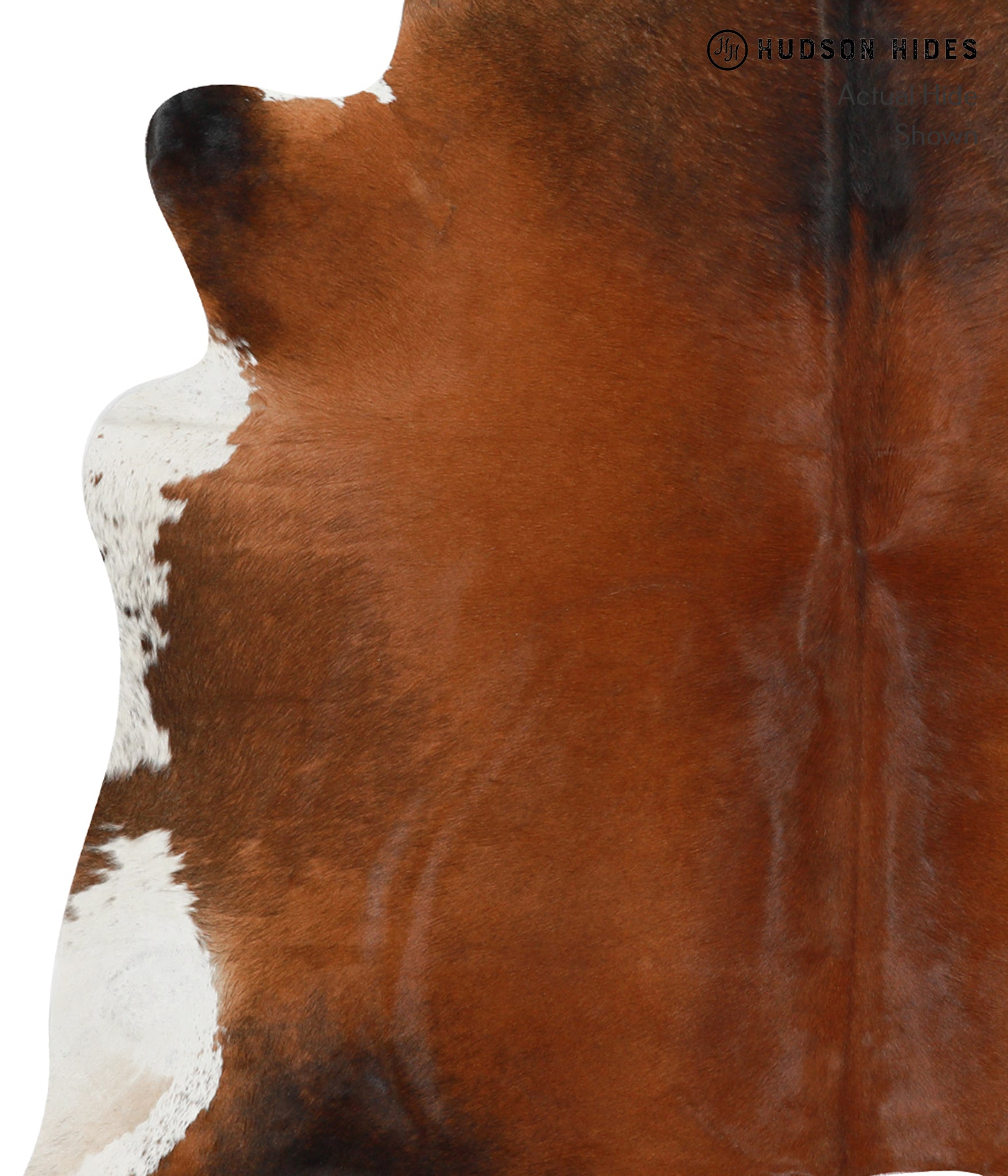 Brown with Red Cowhide Rug #30621