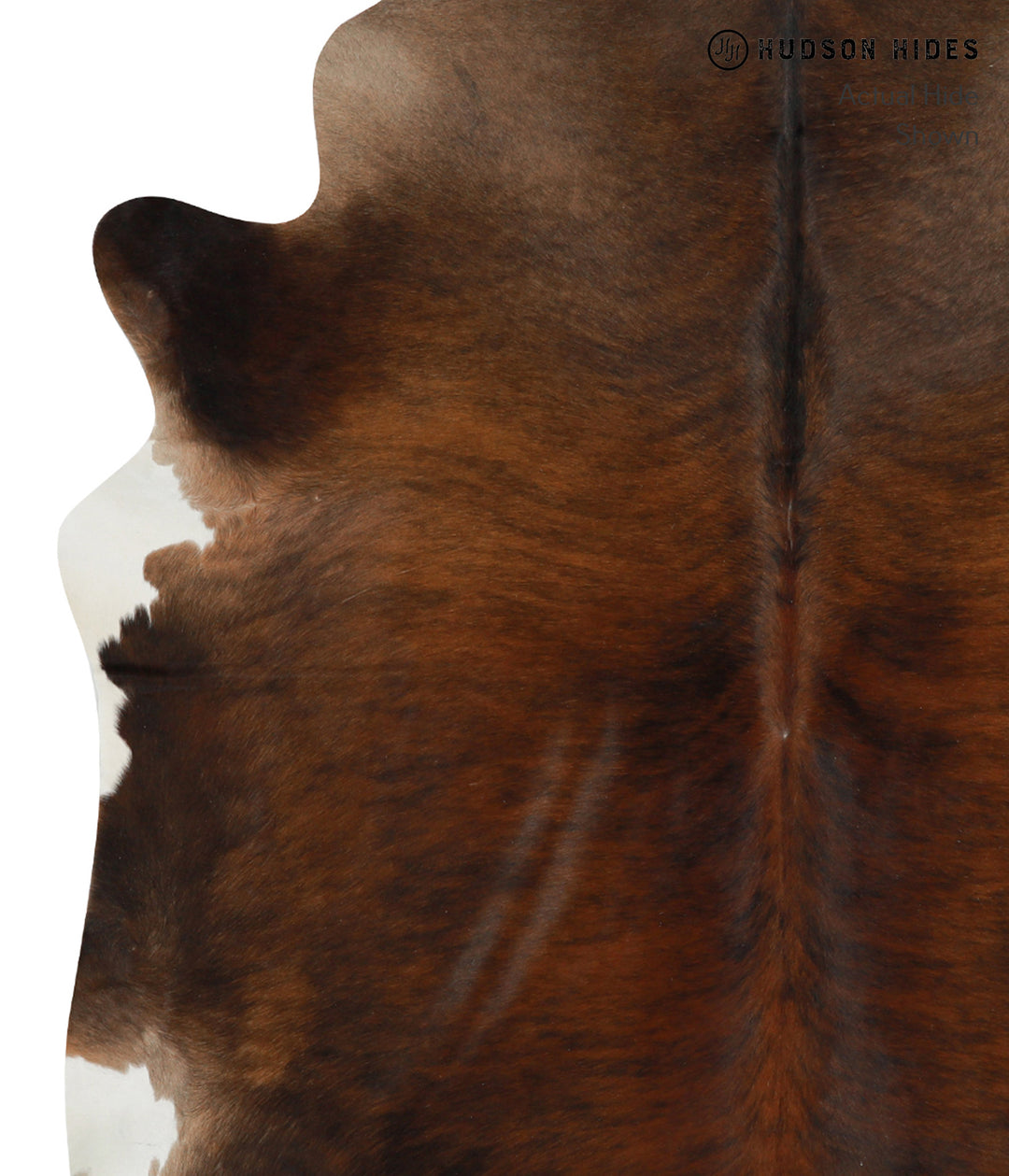 Dark Brindle X-Large Brazilian Cowhide Rug 6'11"H x 6'1"W #30861 by Hu