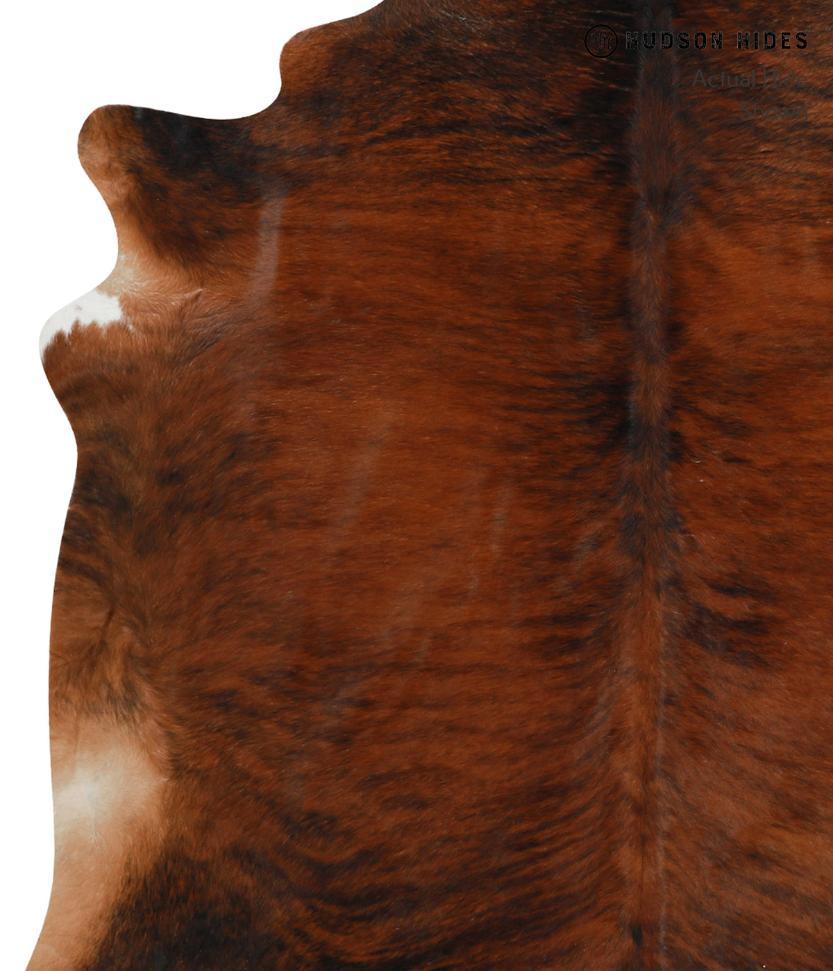 Dark Brindle X-Large Brazilian Cowhide Rug 6'11"H x 6'6"W #30947 by Hudson Hides