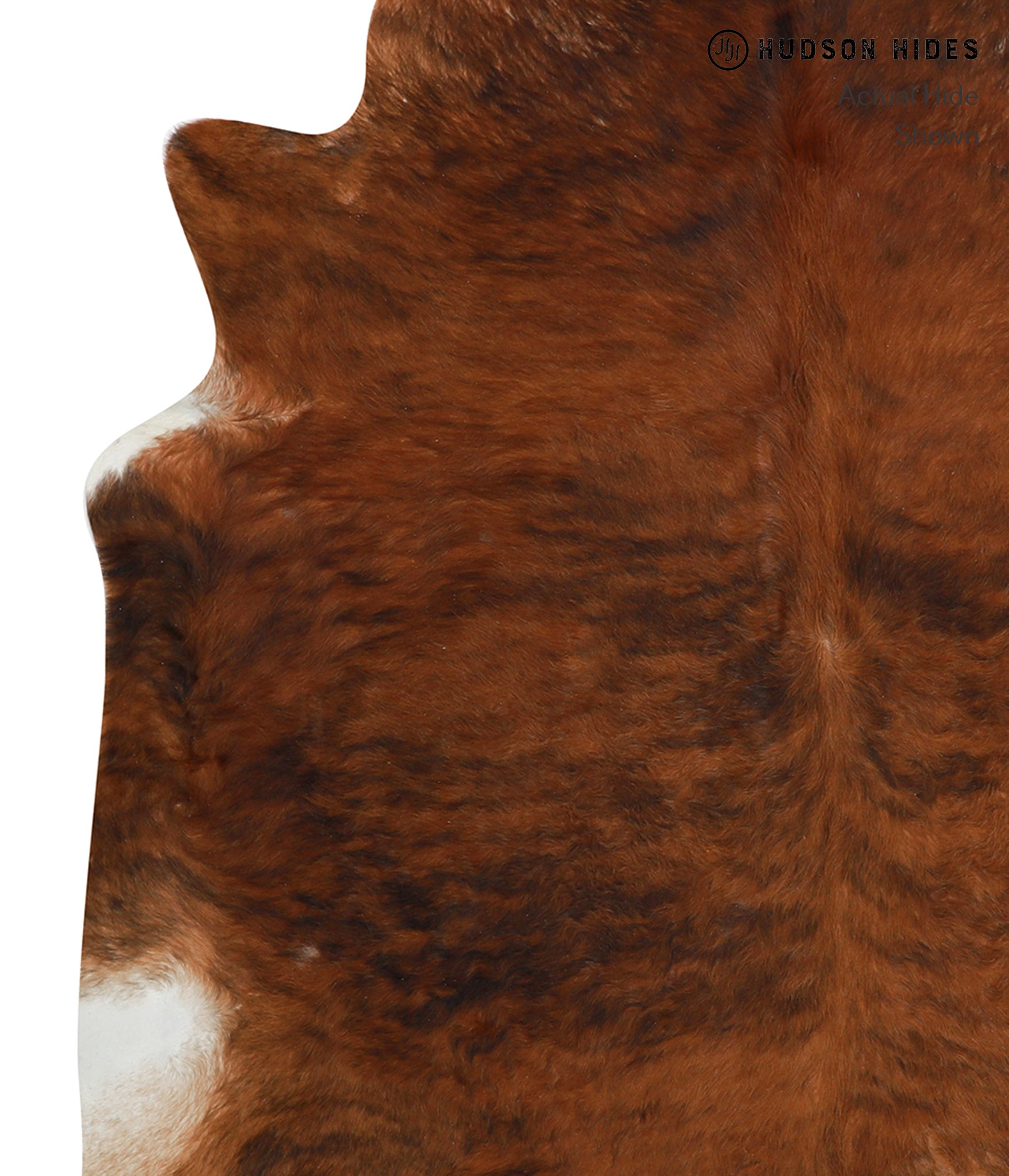 Medium Brindle Cowhide Rug #30982