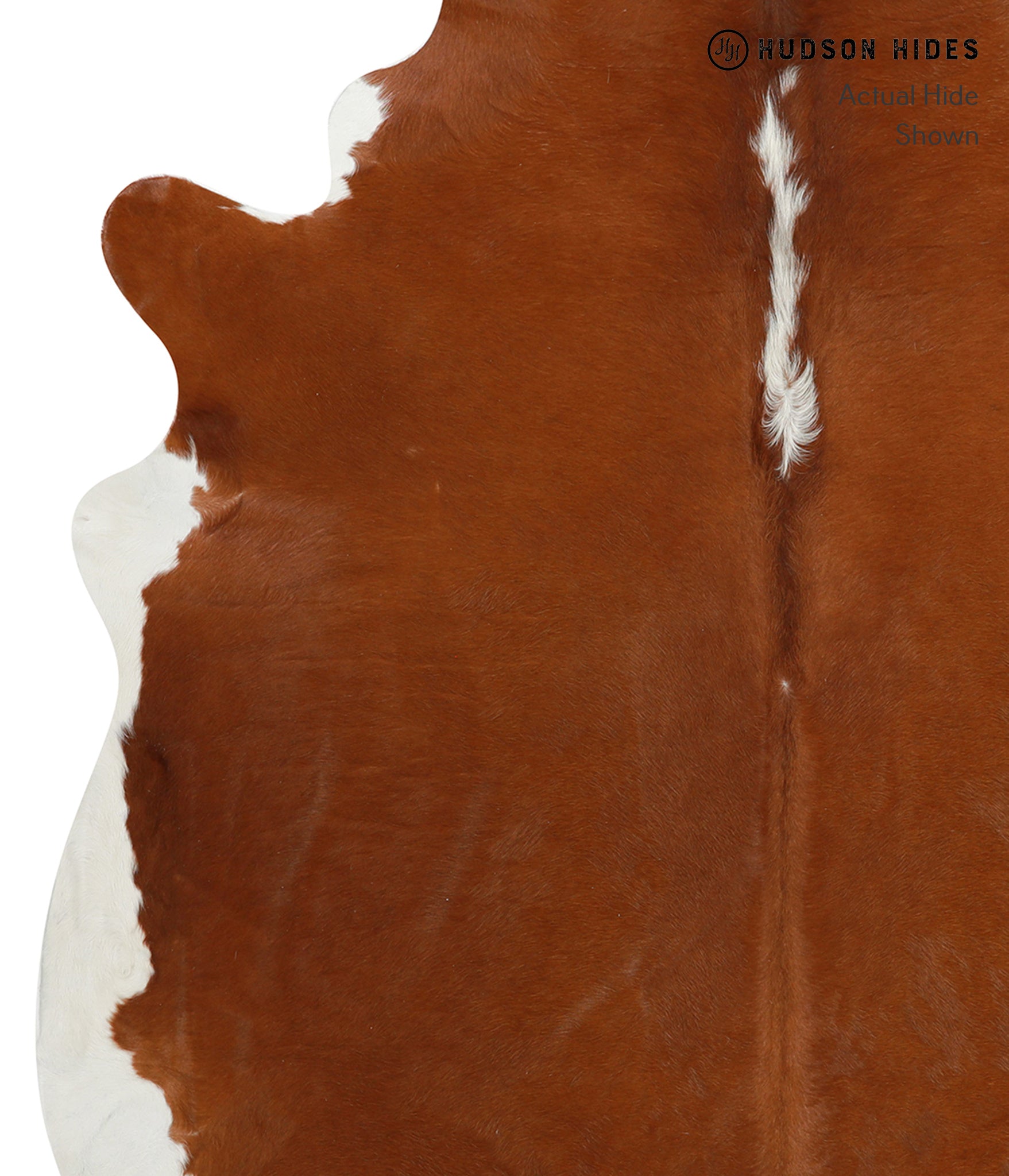 Brown and White Regular Cowhide Rug #30990
