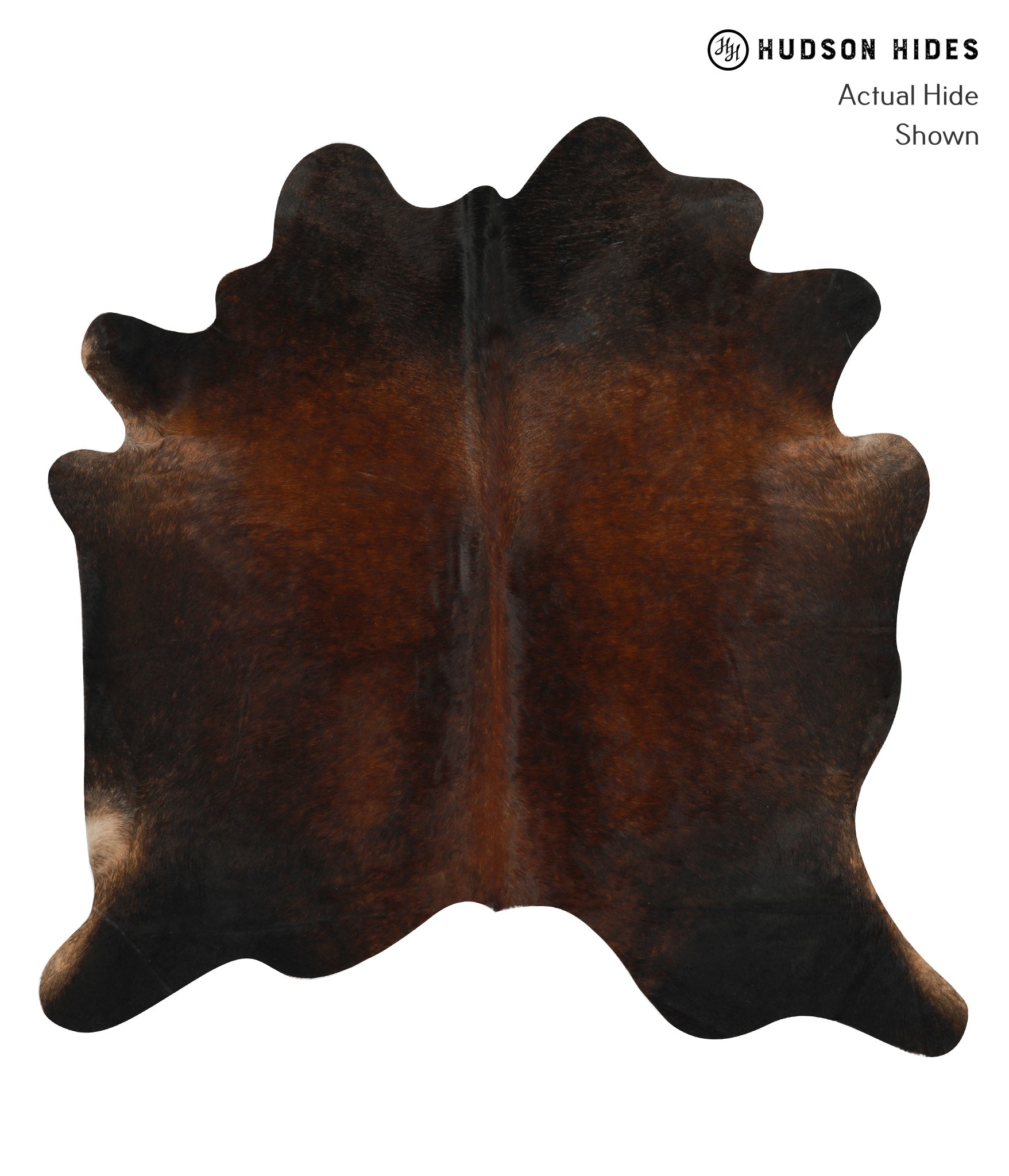 Chocolate Cowhide Rug #31174