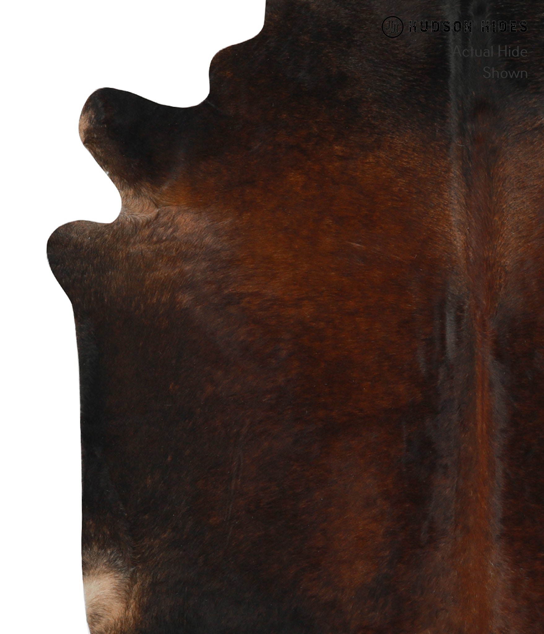 Chocolate Cowhide Rug #31174
